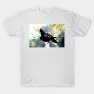 Wedge Tailed Eagle T-Shirt